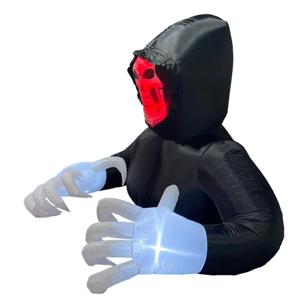 Zoom